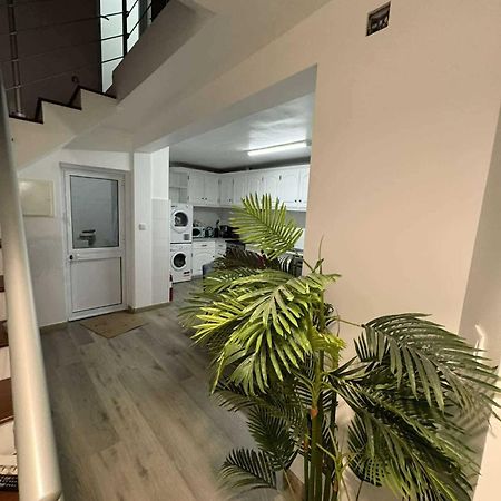 Alvarenga House Maia  المظهر الخارجي الصورة